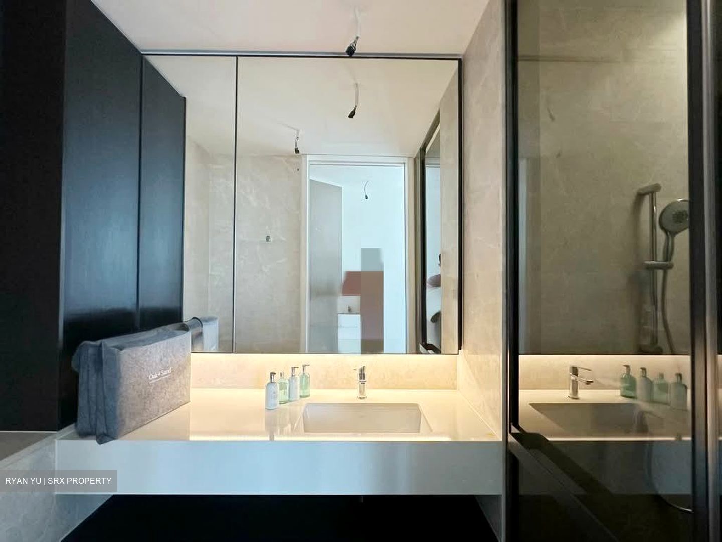 Amber Park (D15), Condominium #553967141